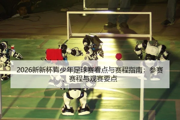 xin-xin-bei-qing-shao-nian-zu-qiu-sai-kan-dian-yu-sai-cheng-zhi-nan-can-sai-sai-cheng-yu-guan-sai-yao-dian-2-878.jpg